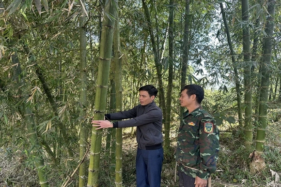 Văn Nho đưa nghị quyết vào cuộc sống