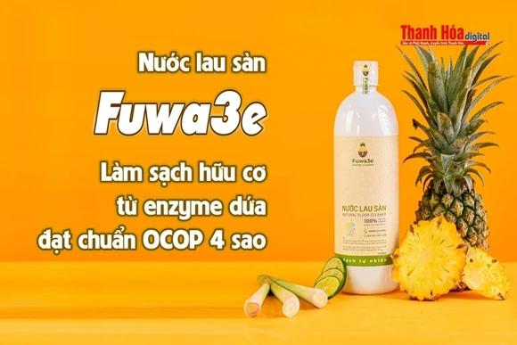 [REVIEW OCOP] Nước lau sàn Fuwa3e – Giải pháp làm sạch hữu cơ từ enzyme dứa đạt chuẩn OCOP 4 sao