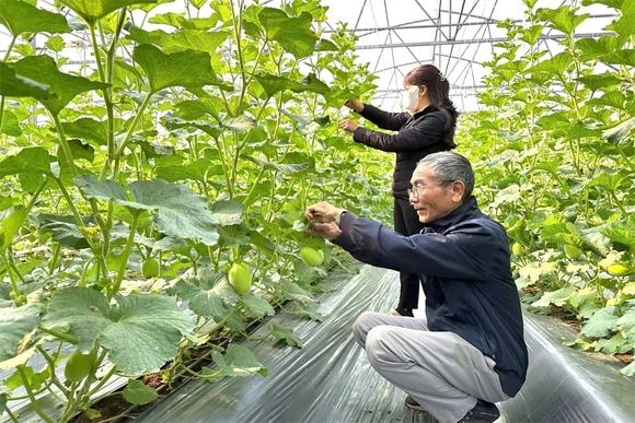 “Quyết tâm gấp mười lần và hành động gấp trăm lần” vì hạnh phúc Nhân dân (Bài 1): “Hành động” để mọi người dân đều “nhìn được, thấy được kết quả”