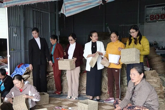 Từ đam mê đến tạo việc làm cho nhiều lao động