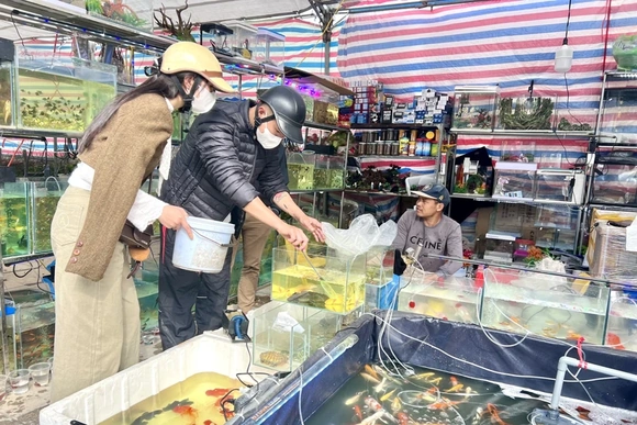 Ngắm cả “mùa xuân trong nước”