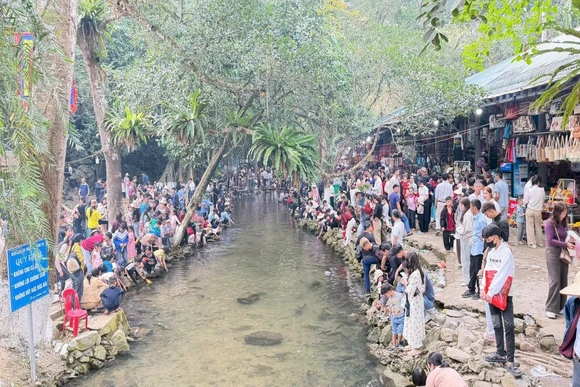 Du xuân ở Khu du lịch suối cá thần Cẩm Lương