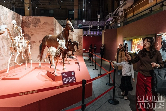 Triển lãm chủ đề Tết Bính Ngọ rực rỡ sắc xuân tại thủ đô Bắc Kinh,Trung Quốc