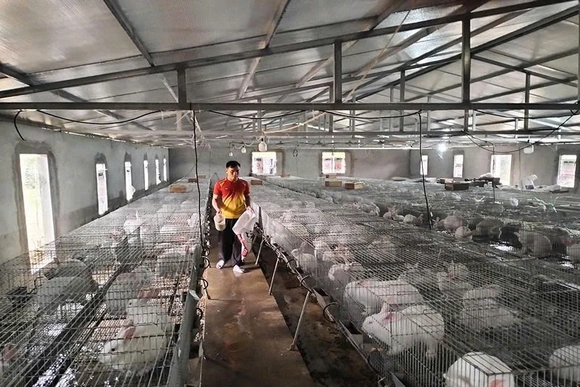 Vượt khó làm giàu ở vùng cao