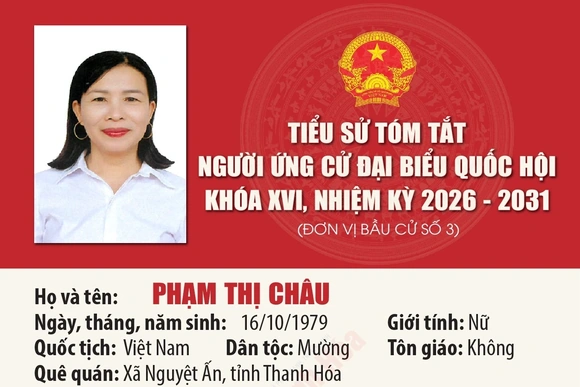 [Infographics] Tiểu sử ứng cử viên Đại biểu Quốc hội khóa XVI Phạm Thị Châu
