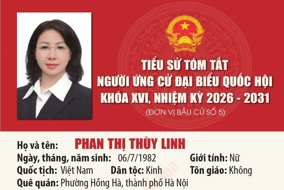 [Infographics] Tiểu sử ứng cử viên Đại biểu Quốc hội khóa XVI Phan Thị Thùy Linh
