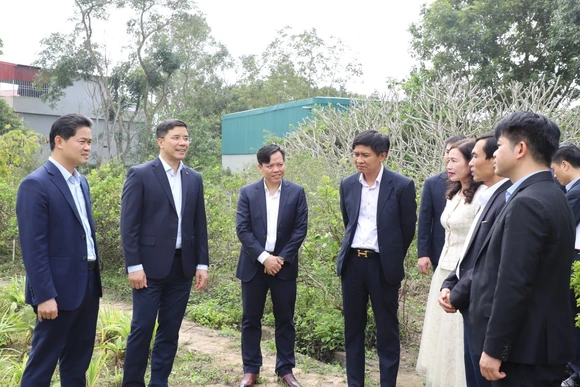 Đổi mới tư duy, đẩy mạnh bảo tồn cây dược liệu gắn với hình thành chuỗi giá trị bền vững