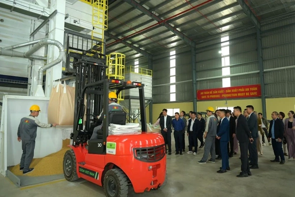 Tăng cường kết nối hội viên doanh nhân trẻ