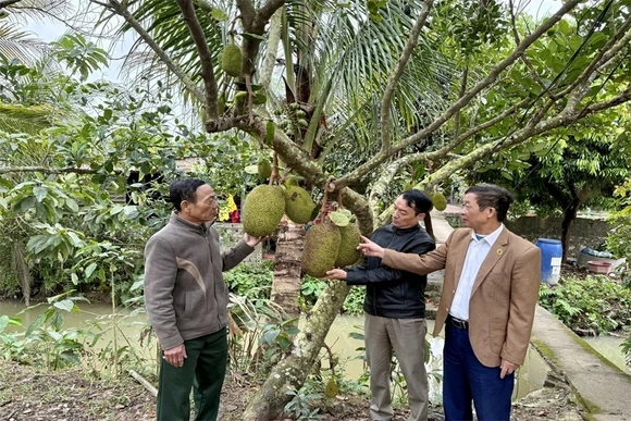 Người cao tuổi xã Thiệu Trung&nbsp;phát huy vai trò tuổi cao - gương sáng