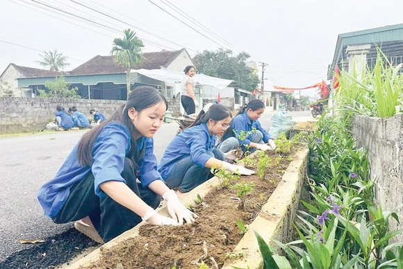 Tuổi trẻ hưởng ứng “Tết trồng cây đời đời nhớ ơn Bác Hồ”