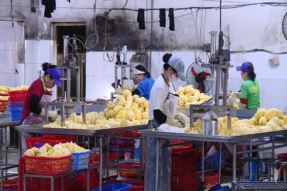 Xung đột Trung Đông: Doanh nghiệp Thanh Hóa lo đối diện nhiều khó khăn