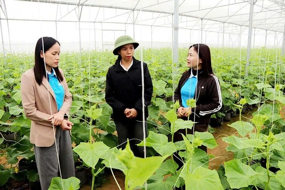 Hỗ trợ phụ nữ khởi nghiệp,&nbsp;phát triển kinh tế