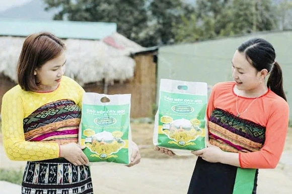 Phát triển vùng chuyên canh&nbsp;lúa nếp đặc sản