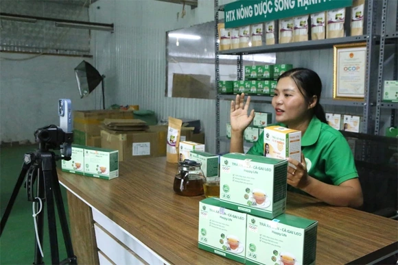 Nỗ lực bứt phá ngay từ những ngày đầu năm