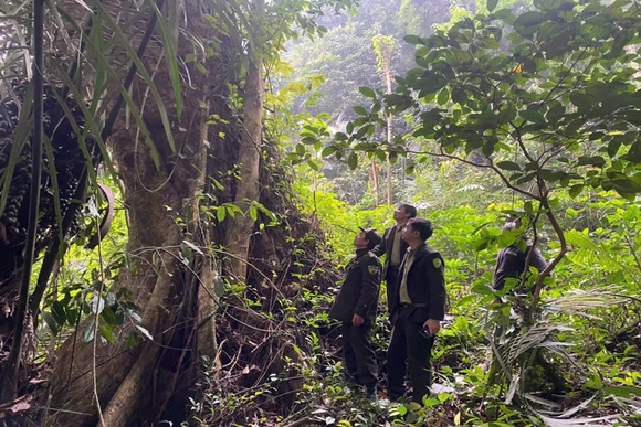 Hạt Kiểm lâm Lang Chánh tăng cường bảo vệ và phát triển rừng