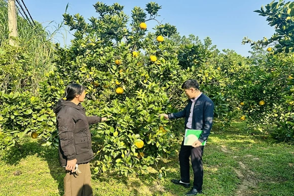 Chuyển đổi số góp phần hướng tới tài chính toàn diện và giảm nghèo bền vững