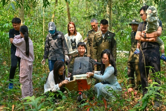 Vườn Quốc gia Cúc Phương sẽ là “ngân hàng gen” tự nhiên vào năm 2050