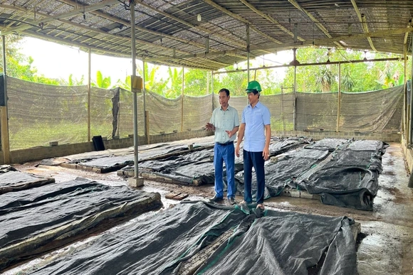 Tạo giá trị từ rác hữu cơ