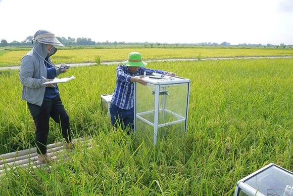 Xây dựng mô hình nông nghiệp ứng phó với biến đổi khí hậu