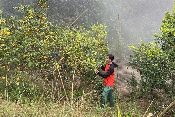 Hướng đi mới của đồng bào Mông xã Tam Chung