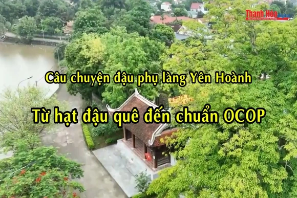 [REVIEW OCOP] Câu chuyện đậu phụ làng Yên Hoành - Từ hạt đậu quê đến chuẩn OCOP
