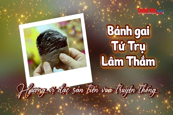 [REVIEW OCOP] Bánh gai Tứ Trụ Lâm Thắm – Hương vị đặc sản tiến vua truyền thống