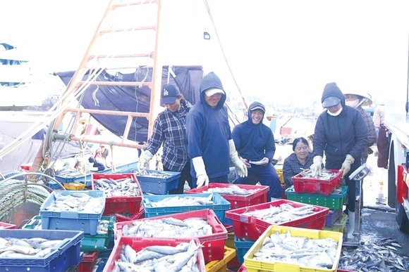 Phát triển ngành thủy sản hiện đại, bền vững