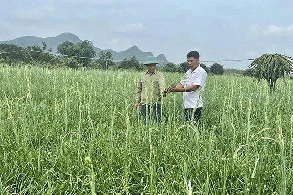 Tống Sơn đưa nghị quyết vào cuộc sống