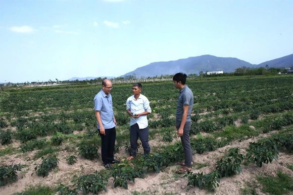 “Quả ngọt” từ chuyển đổi&nbsp;cơ cấu cây trồng