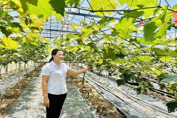 Động lực giúp kinh tế địa phương&nbsp;phát triển bền vững