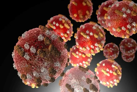 Bộ Y tế thông tin về biến thể mới của virus SARS-CoV-2