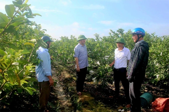 Hà Long triển khai các chương trình trọng tâm, khâu đột phá