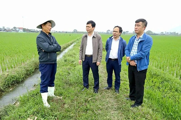 Đảng bộ xã Xuân Hòa đưa nghị quyết vào cuộc sống bằng hành động cụ thể