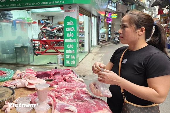 Sau vụ “tuồn” 300 tấn lợn bệnh: Siết chặt kiểm dịch, xây dựng cơ chế truy xuất nguồn gốc