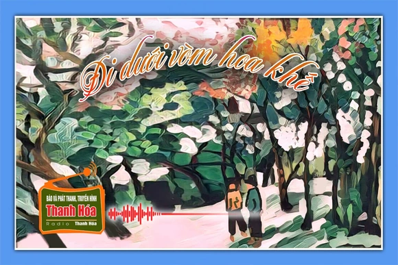 [Podcast Tản văn]: Đi dưới vòm hoa khế