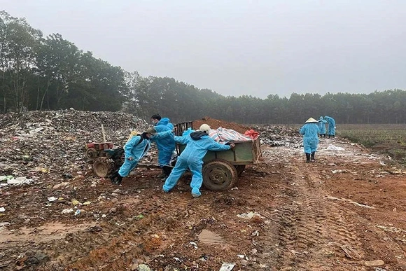 Tạo đà cho chăn nuôi phát triển bền vững