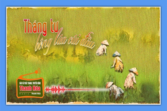 [Podcast Tản văn] Tháng Tư bông lúa cúi đầu
