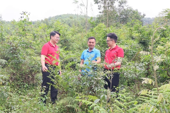 Dấu ấn tiên phong vì sự phát triển&nbsp;nông nghiệp xanh, bền vững
