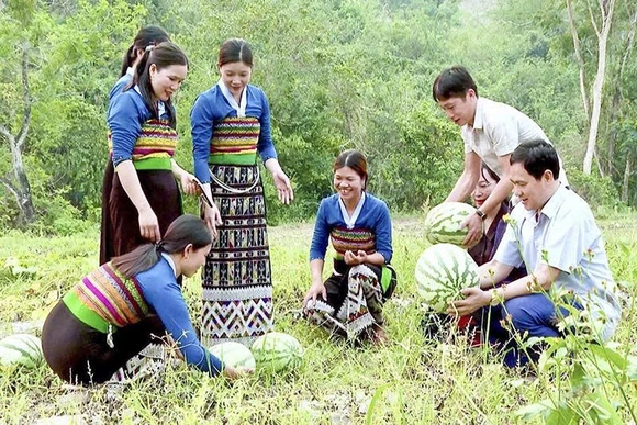 Chủ động thích ứng trước biến động (Bài 3): Giải pháp trước mắt, chiến lược dài hạn đặt ra với ngành nông nghiệp