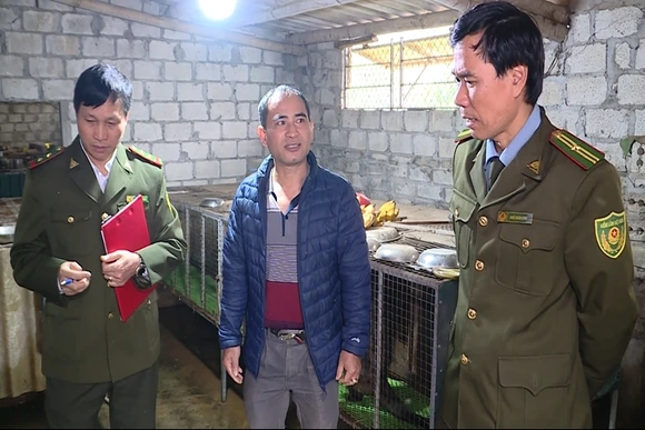 “Siết” quản lý cơ sở nuôi nhốt&nbsp;động vật hoang dã
