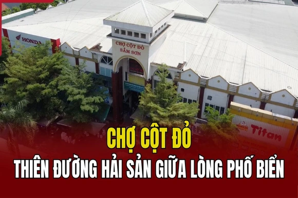 Chợ Cột Đỏ - Thiên đường hải sản giữa lòng phố biển