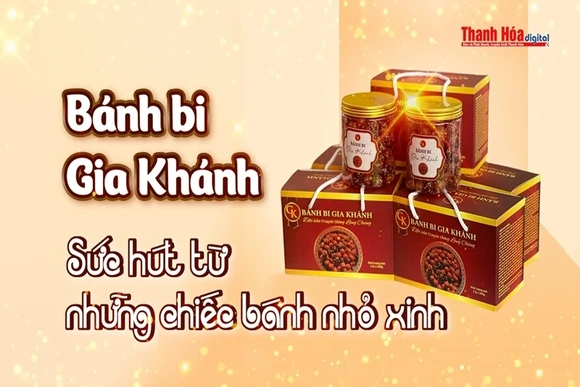 [REVIEW OCOP] Bánh bi Gia Khánh - Sức hút từ những chiếc bánh nhỏ xinh