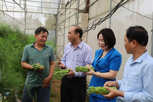Chi hội trưởng nông dân làm kinh tế giỏi