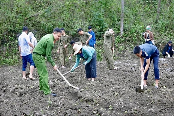 Trồng khoai mán ruột vàng -&nbsp;hướng mở sinh kế cho người dân xã Quan Sơn