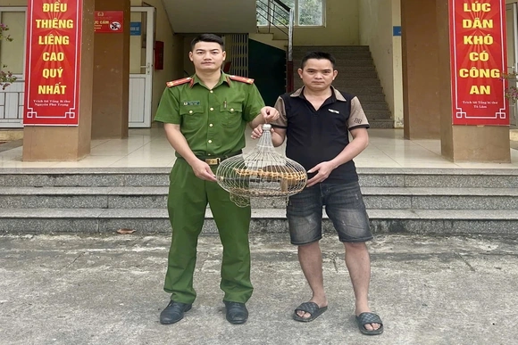 Người dân xã Thanh Phong tự giác giao nộp một cá thể Culi