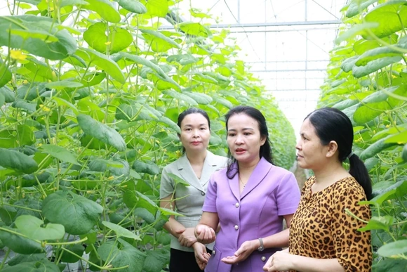 Kiểm tra phát huy hiệu quả&nbsp;sử dụng nguồn vốn vay