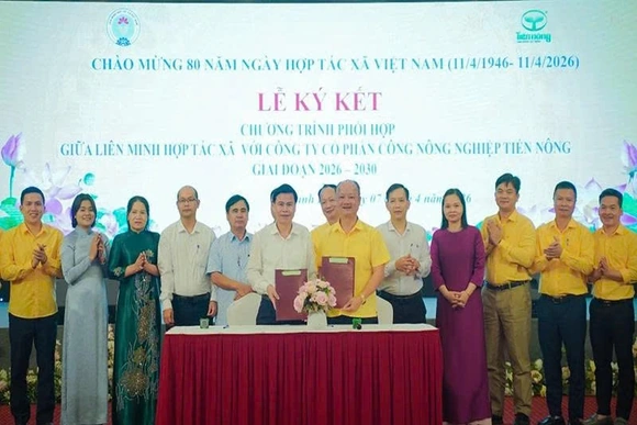Thúc đẩy liên kết, hợp tác kinh tế tư nhân và kinh tế tập thể