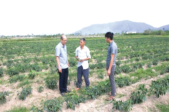 Tiếp sức cho nông dân từ chính sách&nbsp;miễn thuế sử dụng đất nông nghiệp