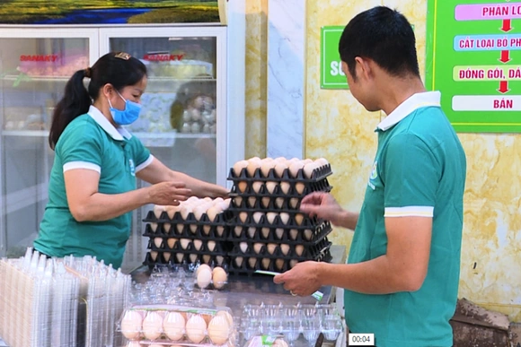 Giá trứng gia cầm tăng cao trở lại