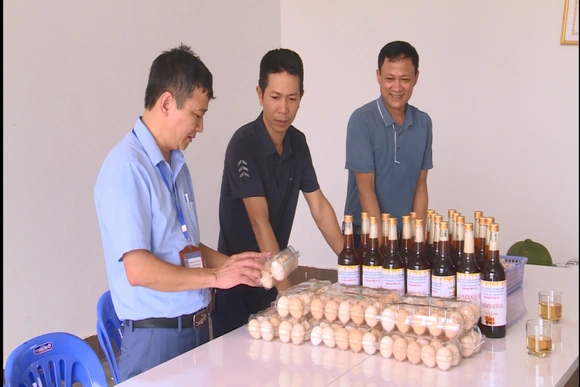 Lan tỏa phong trào thanh niên khởi nghiệp, chung sức xây dựng quê hương